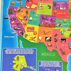 Great States Geography Board Game 400 Question Card Educational Trivia Game Zone