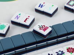SLATE GRAY 4-Layer Acrylic Mahjong Tiles Full American Set 160 Tiles US SELLER!