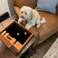 WE Games Board Game with Dice, 12 Numbers, in Natural Wood Box with Lid