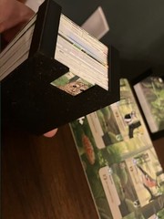 Forest Shuffle Board Game Insert Compatible with All Expansions
