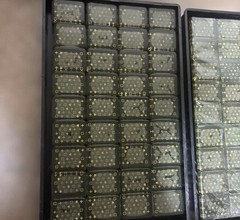 Louis Vuitton pattern Mahjong Tiles Set Sega rare limited Japan