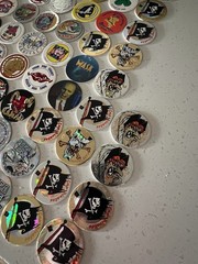 Hawai’i Mix’s Lot Of 234 Pogs