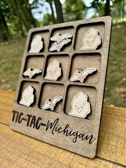 Tic Tac Toe Michigan Game, Table Games, Tic Tac Toe Game, State Of Michigan, New