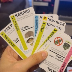 Eco Fluxx v2.0 card game, nature game with ever changing rules 2005-2010