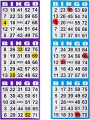 Bingo Paper Game Cards 4×12 Inches 3 Card Sets 100 Books 10 Colors