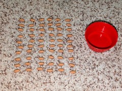 The Squirrel Game Board Game – Ravensburger 1987 Almost Complete but Playable