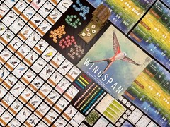 Wingspan Base Game by Elizabeth Hargrave | A Relaxing, Strategy Board Game A…