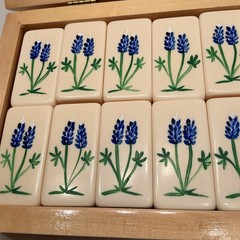 HANDPAINTED TEXAS BLUEBONNETS Extra Thick DOMINOES Texas Imagineering
