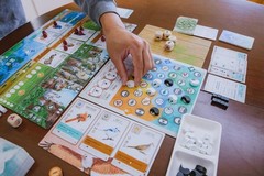 Wingspan Asia Board Game Bird Collecting Solo and Duet Mode Expansion 80 Char…