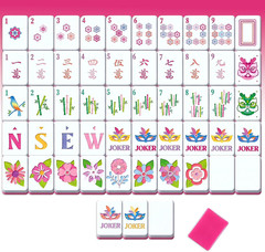 160 Pcs American Mahjong Set 1.2 Inch 160 Mahjong Tiles Set with Melamine Hand C