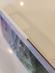 Hummingbird Board Overlays/Trays – Compatible with Wingspan Americas Expansion