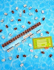 2026 American Mahjong Set (1.3”), 160 Tortoise Shell Mahjong Tiles Acrylic M…