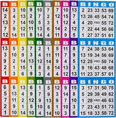 Bingo Paper Game Cards 4×12 Inches 3 Card Sets 100 Books 10 Colors
