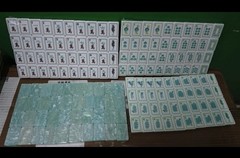 Coral & Coast Inspired 4-Layer American Mahjong Tiles