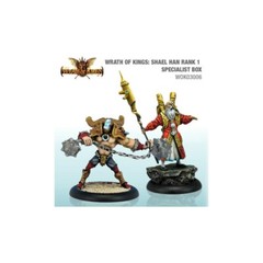 Wrath of Kings Specialist Box 1 Hammer of Heaven Shield of Taelfon SEALED CMON