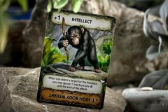 Evolution: New World – Butterfly Effect