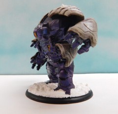 1X Well Painted FFP Shadows Of Brimstone Guardian of Targa XL Sized enemy pack