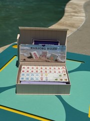 Floating Mahjongg Travel Size Tile Game Set w/ Rules Booklet, 4+ Players