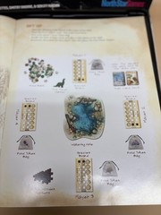 EVOLUTION North Star Games Board Game 2-6 Players COMPLETE DS20