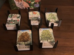 Forest Shuffle Board Game Insert Compatible with All Expansions