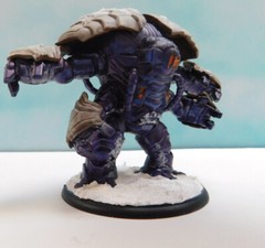 1X Well Painted FFP Shadows Of Brimstone Guardian of Targa XL Sized enemy pack