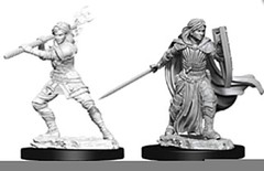 D&D Nolzur’s Marvelous Miniatures – Male Human Paladin