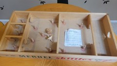 Vintage Merdel Skittles No 401 Wooden Bowling Game w/ 10 Pins, 2 Tops directions