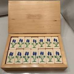 HANDPAINTED TEXAS BLUEBONNETS Extra Thick DOMINOES Texas Imagineering