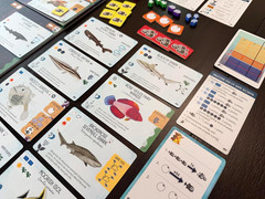 Finspan: Sharks & Reefs Expansion