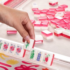 Maison Lude Cirquejong Mahjong Tiles 160 Tiles with Carrying Case Blooming!