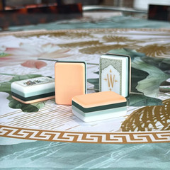 160Pcs 4-Layer Acrylic Pink White Lotus Engraved American Mahjong Set