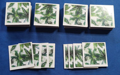 Animal Memory Game 24 pair/48 Cards Complete