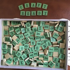 Vintage Game Anagrams And Green Letters On Wood Tiles Milton Bradley USA #4720