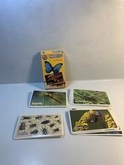 6 Assorted Kids Card Games FLASH CARDS Disney Old Maid Go Fish Vantage Insects