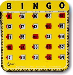 Travel-Ready Regal Bingo Cards – 8 Pack with Sliding Windows, Perfect for Groups