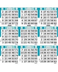 9 On 10 Up Standard Color Collation Bingo Paper Cards- 50 Books