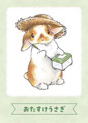 Rabbit Detective 2-6 players 15-20 minutes Card Board Game Sai Beppu Japan
