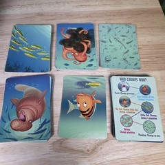 Chomp! Fast & Furious Food Chain Game GameWright Cards Complete No Instructions