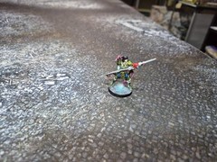 Cmon Games ZOMBICIDE WHITE DEATH Zhao Yun painted with Card DDP PAID!!