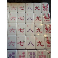 Floral Hand Painted American Mahjong Tile Set Pink Purple girly Pastel 160