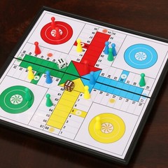 👇❤️💪🧠Magnetic Ludo Traditional Travel Board Brain Game 25 X 25 cm Parchis New
