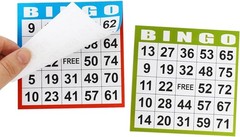 Bingo Paper Game Cards – 1 Card – 100 Books of 5 Sheets