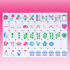 American Mahjong Tile Set(4 Layer),160 Acrylic Engraved Mahjong Tiles, Mahjong T