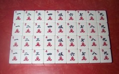 Acrylic American Mahjong Set with 166 Tiles Racks Pushers Tokens Aluminum Case