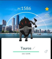 POKEMONS BG GOFEST 2026
