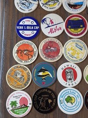Lot Of 147 Original 90s Pogs All Hawaiian Milk Caps Advertising + W/ Trov Case
