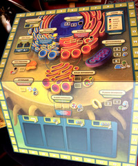 Genius Games Cytosis 2nd Edition Board Game Cell Biology Science Family