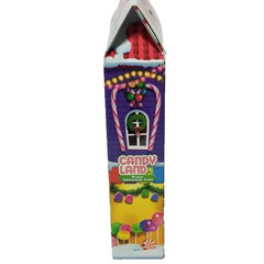 Candy Land Winter Adventure Game New Hasbro Gaming Christmas Holiday Stocking