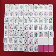 American Mahjong Game Set, 160 tiles rose red elephant Mah Jong Tiles Fast ship
