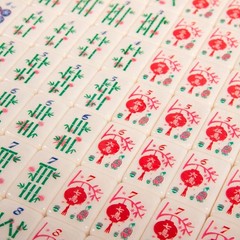 Maison Lude Cirquejong Mahjong Tiles 160 Tiles with Carrying Case Blooming!